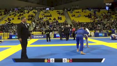 Andre Diniz De Sena vs Omar Sabha 2025 Master International IBJJF Jiu-Jitsu North American Championship