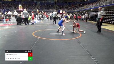 80 lbs Consi Of 16 #2 - Milo Hake, Dover vs Ganon Roberts, Cambridge Springs