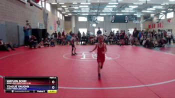 49 lbs Round 1 - Teague Vaughn, Hawk Wrestling Club vs Waylon Schei, Bear Lake Wrestling Club