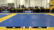 GABRIEL C. vs EDVIN P. 2025 World IBJJF Jiu-Jitsu No-Gi Championship