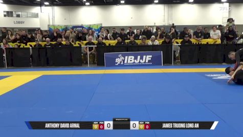 James Truong Long An vs Anthony David Arnal 2025 World IBJJF Jiu-Jitsu No-Gi Championship