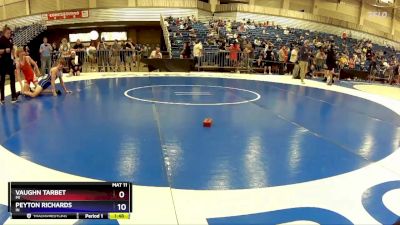 138 lbs Cons. Round 4 - Vaughn Tarbet, MI vs Peyton Richards, IN