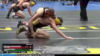 133 lbs Quarterfinal - Tanner Smith, Adrian vs Nathan Demangeont, Heidelberg
