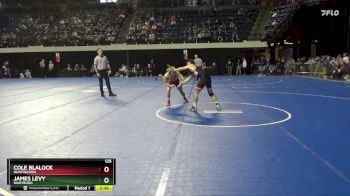 125 lbs Champ. Round 2 - Cole Blalock, Huntingdon vs James Levy, Wartburg