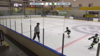 Replay: Home - 2024 Penguins U10 vs Mission U10 | Nov 30 @ 7 AM