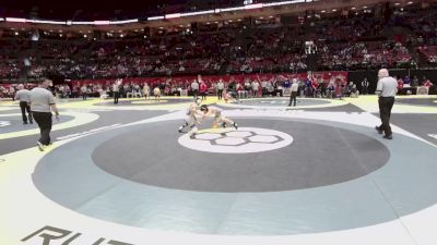 113 lbs Champ. Rd Of 16 - Dominic Difilippo, Medina vs Caiden Rosario, Lorain