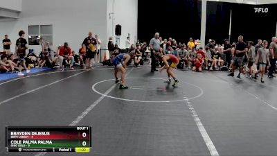 84 lbs Semis (4 Team) - Brayden DeJesus, Dirty Jersey vs Cole Palma Palma, Ohio Gold