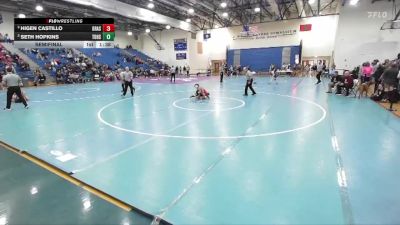 113 lbs Semifinal - Higen Castillo, Grassfield vs Seth Hopkins, Thomas Dale