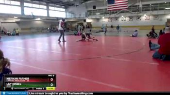 138 lbs Round 3 (4 Team) - Lily Kinsel, Ohio vs Kiernan Farmer, Charlies Angels Pink