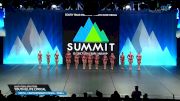 South Texas Strutters - Youth Elite Lyrical [2025 Youth - Contemporary/Lyrical - Small Finals] 2025 The Dance Summit