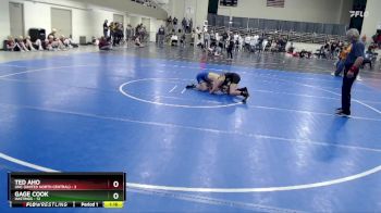 115 lbs Finals (8 Team) - Ted Aho, UNC (United North Central) vs Gage Cook, Hastings