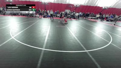 12U Boys - 82 lbs Cons. Round 4 - Levi Werner, Askren Wrestling Academy vs Aaron Bartnick, Team Nazar Training Center
