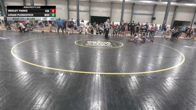 82 lbs Consolation - Wesley Parks, Carlisle vs Logan Pleskovich, McDonald