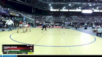 4A 132 lbs Quarterfinal - Payton Hernandez, Columbia vs Tucker Arthur, Minico