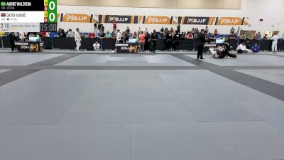 Andre Waldhem vs David Adams 2026 PBJJF Pan American Jiu-Jitsu Championships