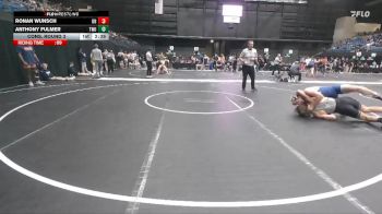 197 lbs Cons. Round 3 - Ronan Wunsch, Unattached vs Anthony Fulmer, Texas Wesleyan