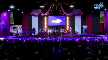 The Stingray Allstars - Gray [2024 L2 Junior - Medium Day 2] 2024 ASC Battle Under the Big Top Grand Nationals