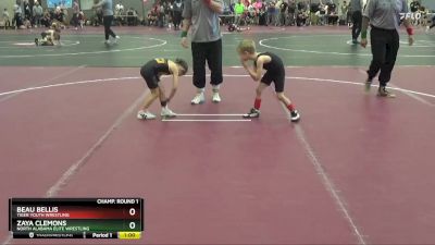 40 lbs Champ. Round 1 - Beau Bellis, Tiger Youth Wrestling vs Zaya Clemons, North Alabama Elite Wrestling