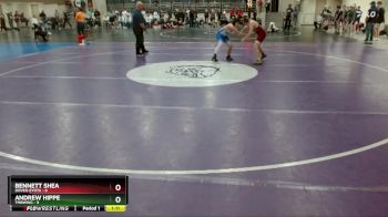 115 lbs Finals (8 Team) - Bennett Shea, Dover-Eyota vs Andrew Hippe, TMBWWG