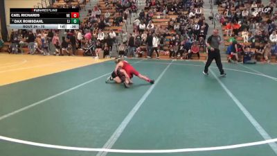 70 lbs Champ. Round 2 - Cael Richards, MN Elite vs Dax Romsdahl, St James