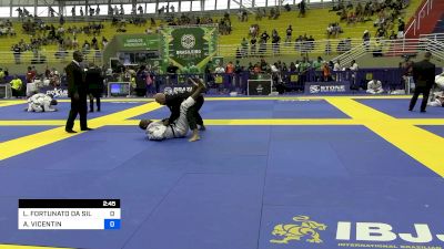 LENIO FORTUNATO DA SILVA FILHO vs ANDRÉ VICENTIN 2024 Brasileiro Jiu-Jitsu IBJJF