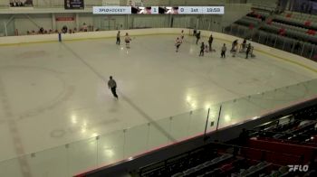 Replay: Home - 2024 Fort Erie vs Ulysse U17 | Feb 10 @ 9 AM