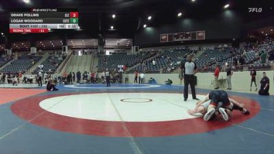 133 lbs Champ. Round 2 - Drake Pollins, Cleary University vs Logan Woodard, Cumberland (Tenn.)
