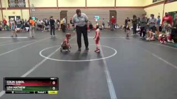 40 lbs Round 2 - Levi Mathew, Spazz Wrestling vs Colin Sabol, Colonial Pride