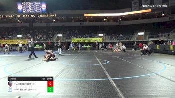 133 lbs Round Of 16 - Logan Robertson, Liberty vs Michael Hazelton, Macomb CC