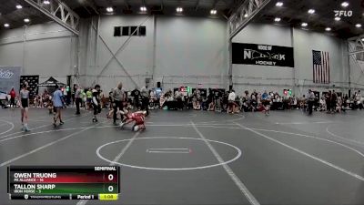 68 lbs Semis (4 Team) - Owen Truong, PA Alliance vs Tallon Sharp, Iron Horse