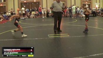 65 lbs Round 1 (6 Team) - Dylan Silkowski, Revival White vs Dominick Defilippis, Yale Street WC