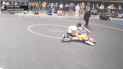 D 1 132 lbs 1st Place Match - Carson Thibodeaux, Sulphur vs Anthony Oubre, Holy Cross
