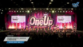 Premier Athletics - Nashville - CHEETAHS [2024 L3 Junior - Small - A Day 1] 2024 One Up Grand Nationals