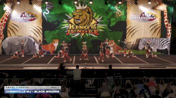CheerVille MJ - Black Widows [2025 L1 Youth Day 1] 2025 ASC King of the Jungle Nashville Showdown