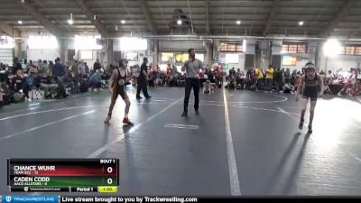 80 lbs Round 1 (4 Team) - Chance Wuhr, Team 922 vs Caden Codd, AACO Allstars