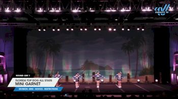 Florida Top Dog All Stars - Mini Garnet [2025 L1 Mini - Novice - Restrictions Day 1] 2025 The American Open Orlando Nationals