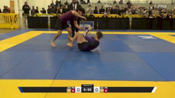 Joshua Medvinsky vs David Clarke Willacker 2025 World IBJJF Jiu-Jitsu No-Gi Championship