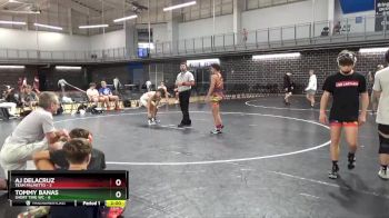 120 lbs Placement Matches (16 Team) - Tommy Banas, Short Time WC vs AJ DeLacruz, Team Palmetto