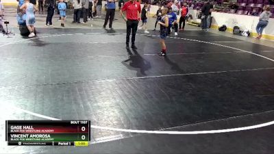 84-85 lbs Cons. Round 3 - Vincent Amorosa, Black Fox Wrestling Academy vs Gage Hall, Black Fox Wrestling Academy