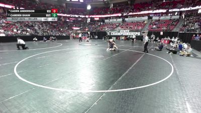 190 lbs Cons. Semis - Camden Shaw, Waterford vs Caden Anderson, West Salem/Bangor