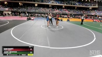 5A 185 lbs Quarterfinal - Dani Banks, Frisco Liberty vs Avery Beckman, Friendswood