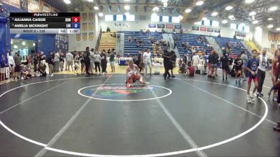 138 lbs Semifinal - Julianna Caisse, St John Neumann vs Amelia Mcknight, Lincoln High School