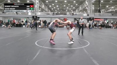 175 lbs Round 2 (4 Team) - Gavin Weart, Hammers vs Robert Desantis, Lions Den WC