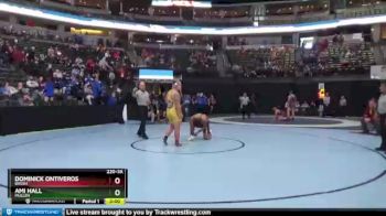 220 lbs Champ. Round 1 - Ami Hall, Mullen vs Dominick Ontiveros, Brush