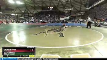 3A 160 lbs Cons. Round 3 - Jackson Hale, Mt. Spokane vs Liam Fitting, Edmonds-Woodway