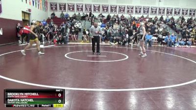 130 lbs Semifinal - Dakota Hatchel, Vinton-Shellsburg vs Brooklyn Mitchell, South Tama County