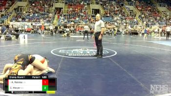 142 lbs Champ. Round 1 - Alexis Reinke, Lisbon vs Clancy Meyer, Dickinson