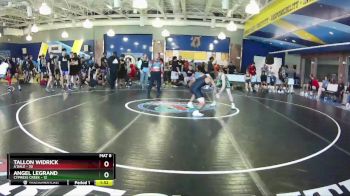 126 lbs Quarters & Wb (16 Team) - Tallon Widrick, A`Dale vs Angel Legrand, Cypress Creek