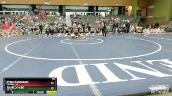 113 lbs Quarterfinals (8 Team) - Aydin Machado, CUSHING vs Tsujzoo Lee, JAY