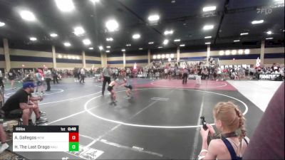 66 lbs Semifinal - Asic Gallegos, New Mexico vs Herra Rose The Last Dragon, Kalispell WC